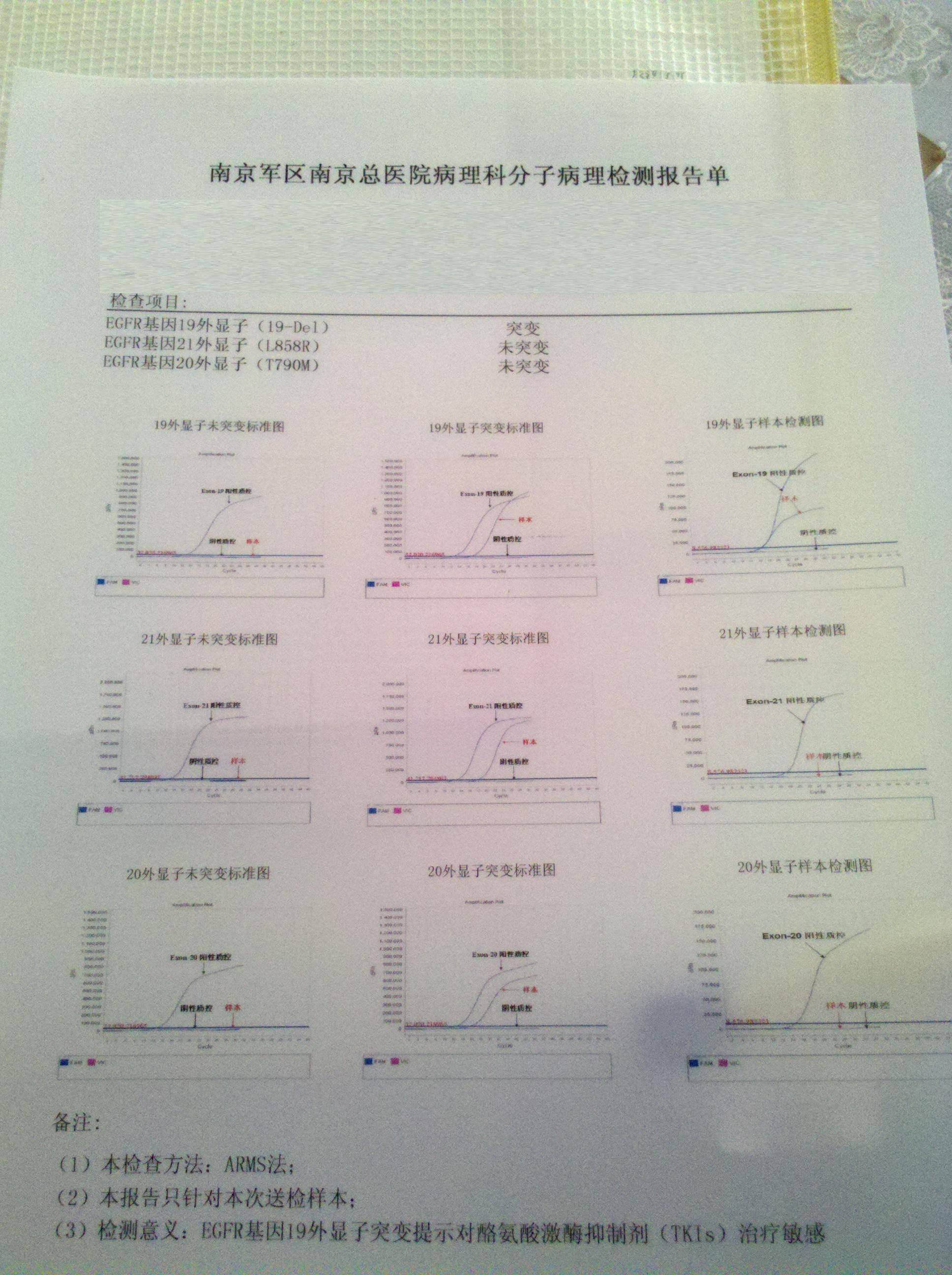 egfr基因突变检测