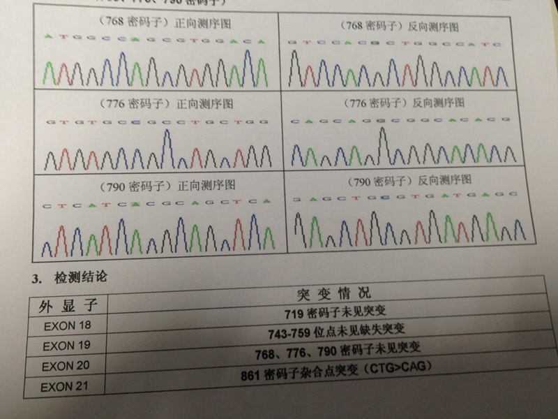 EGFR检测