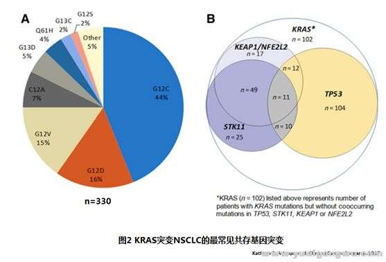 KRAS突变非小细胞3.jpg