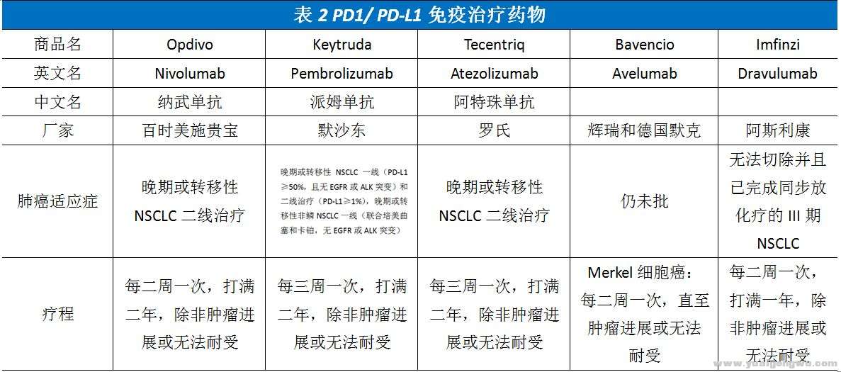 KRAS突变非小细胞11.jpg